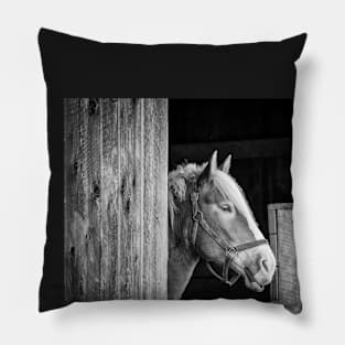 "Beauty in the Barn" - Black & White Pillow