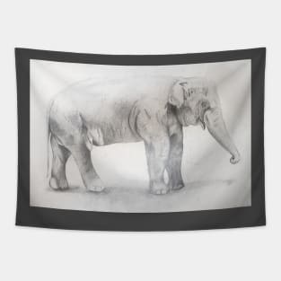 Elephant Drawing by Dasom Tapestry