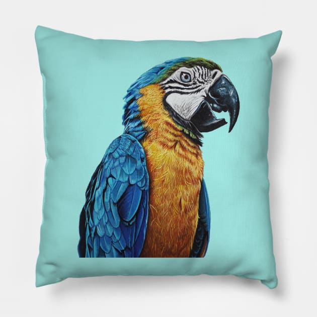 Parrot drawing Pillow by cristianvan