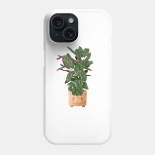 Cute Plant Illustration, Calathea Makoyana Compact Star Phone Case