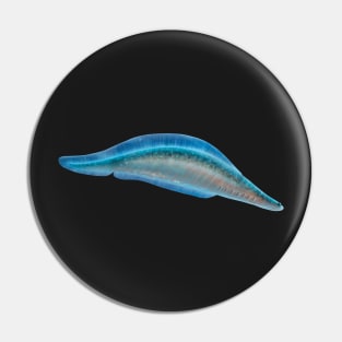 Haikouichthys from Cambrian, original artwork Pin