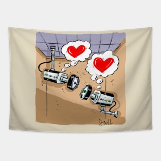 Happy Valentines CCTV cameras. A funny gift for Valentines. Tapestry