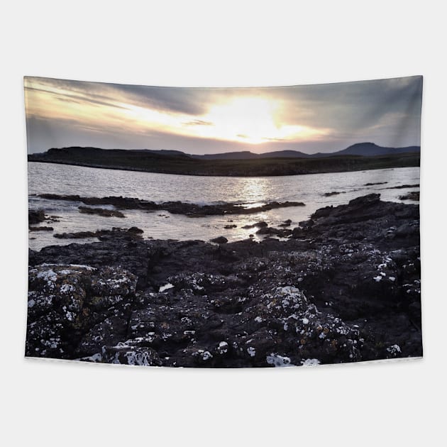 Dar coastline near Ullinish on the west coast of Skye Tapestry by richflintphoto