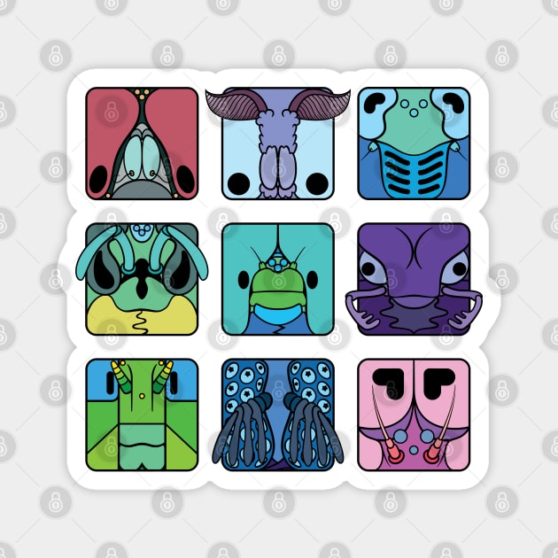 Insect orders cartoon head squares (cool colour theme) Magnet by TiffanyYau