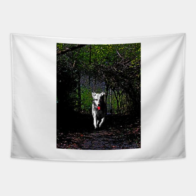 Rougarou in the Swamp Tapestry by Loveday101