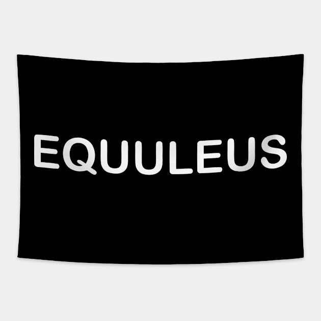 EQUULEUS Tapestry by mabelas