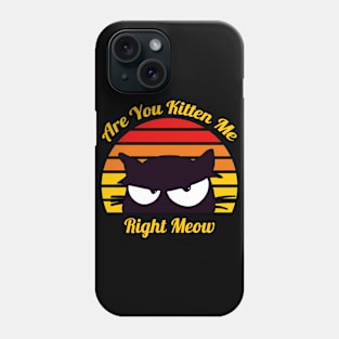 Are You Kitten Me Right Meow Phone Case