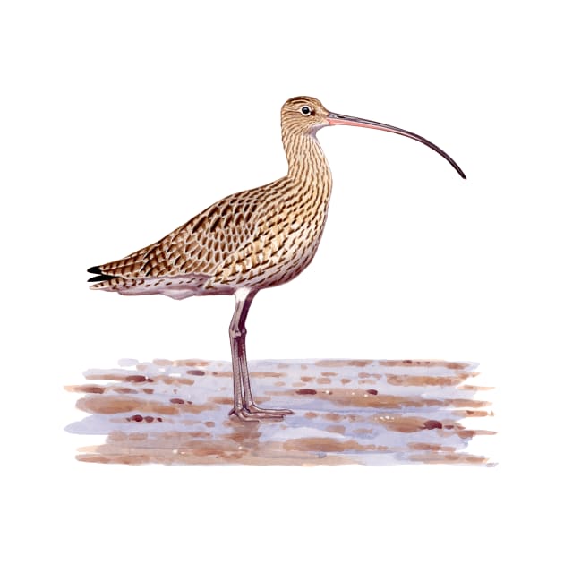 Far-eastern Curlew painting by kokayart