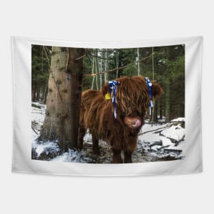 Scottish Highland Cattle Calf 1859 Tapestry