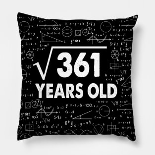 19 years old 19th birthday Gift Square Root of 361 Science Lover Gifts Bday Pillow