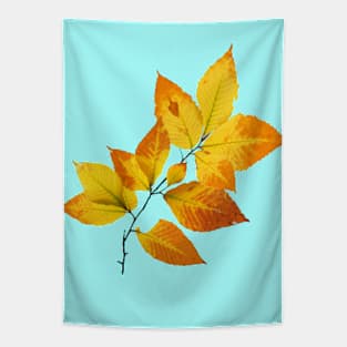 Maine Autumn Leaves Tapestry