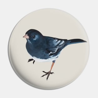 Dark-eyed Junco - bird painting (no background) Pin