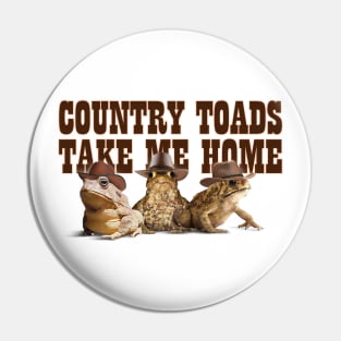 Country Toads Take Me Home Pin