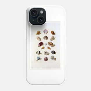 Sea Shell Colection Phone Case