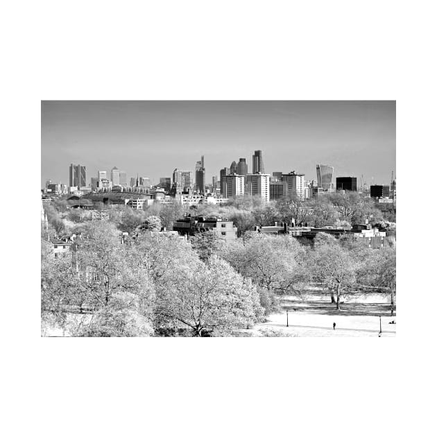 London Skyline Cityscape Primrose Hill by AndyEvansPhotos