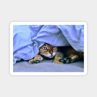 Katze im Nest / Swiss Artwork Photography Magnet