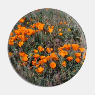 Poppies Galore Pin