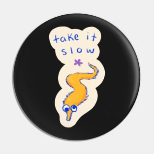 Take It Slow Pin