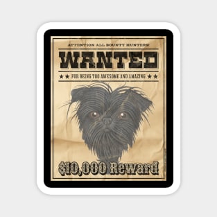 Funny Cute affenpinscher Monkey Dog Wanted Poster Magnet