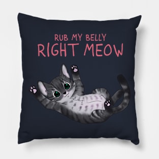 Right Meow Pillow