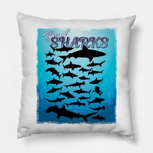 '38 Types of Shark' Awesome Shark Gift Pillow