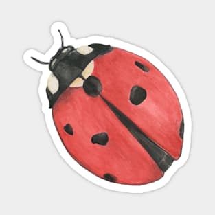 Watercolor Ladybug Magnet