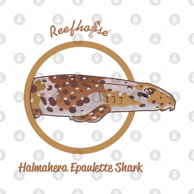 Halmahera Epaulette Shark by Reefhorse