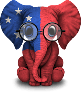 Baby Elephant with Glasses and Samoan Flag Magnet