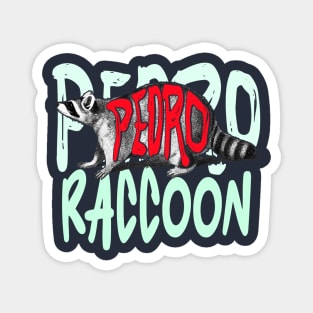 Pedro Raccoon Adventure Expert Magnet