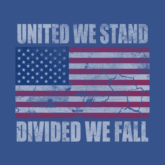 Disover America United We Stand Divided We Fall - America - T-Shirt