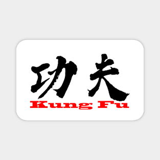 Kung Fu Magnet