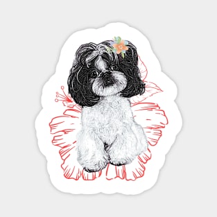 Cute Poodle Magnet