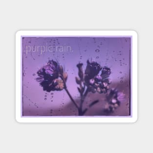 PURPLE RAIN - Arizona wildflowers Magnet