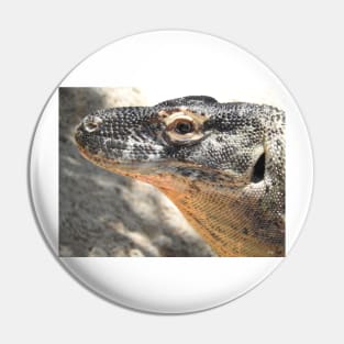 Komodo Dragon Pin