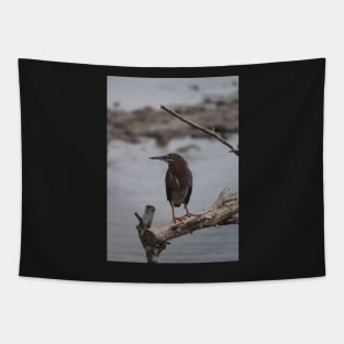 Green Heron Tapestry