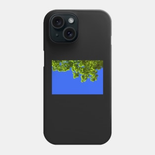 Green oak leafs and branches against blue background Phone Case