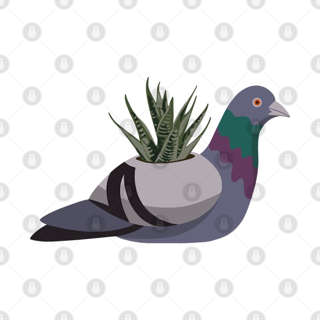 Succulent Pigeon by GeoCreate