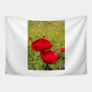 Greek Wildflowers poppy and calendula meadow Tapestry