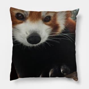 Red Panda Pillow