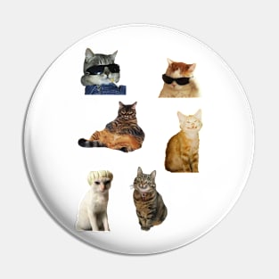 Funny Cats Pin