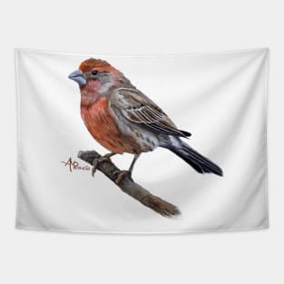 Perched Male House Finch Tapestry