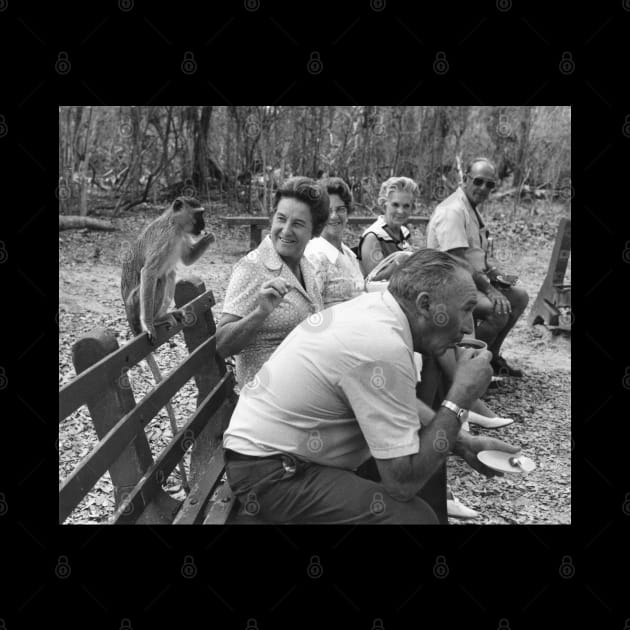 Tea Break in Zimbabwe by In Memory of Jerry Frank