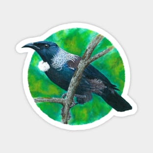 New Zealand Tui - Painting in acrylic Magnet