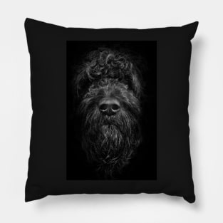 Ziggy Portrait No 2 Pillow