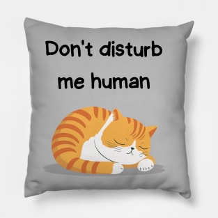 Sleeping Affirmation - Don't disturb me human | Cat Lover Gift | Law of Attraction | Positive Affirmation | Self Love Pillow