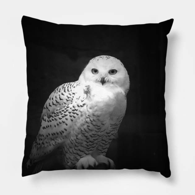 Snowy Owl Pillow by LeanneAllen