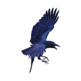 Raven in flight. Beautiful sheens of blue, purples and black. An understated bird. Bird lovers gift T-Shirt