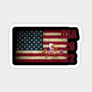 USA 2022 Magnet