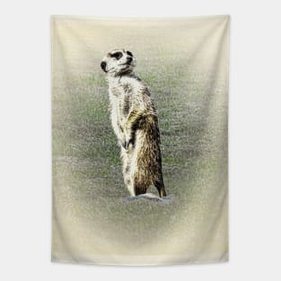 Meerkat Tapestry