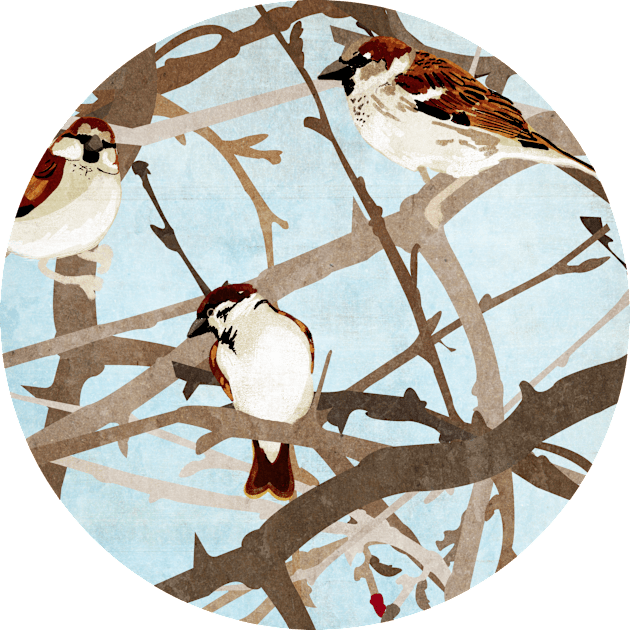 Sparrows Kids T-Shirt by KatherineBlowerDesigns